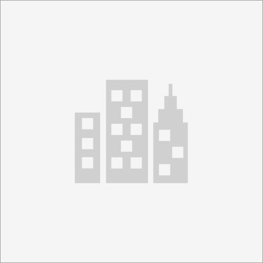 מיי פייס השמה בחינוך